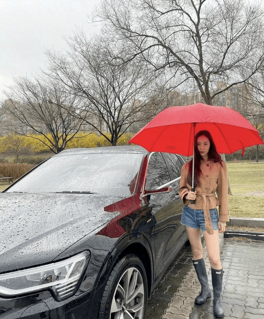 图片12 图片12
